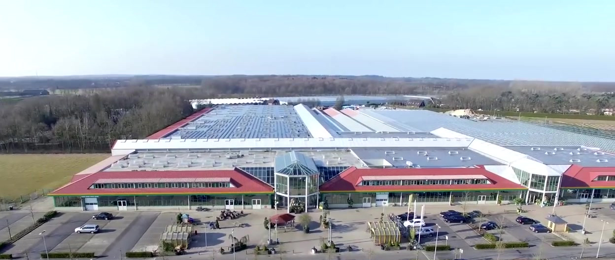 Holland Blumen Oosterik - Über Blumen