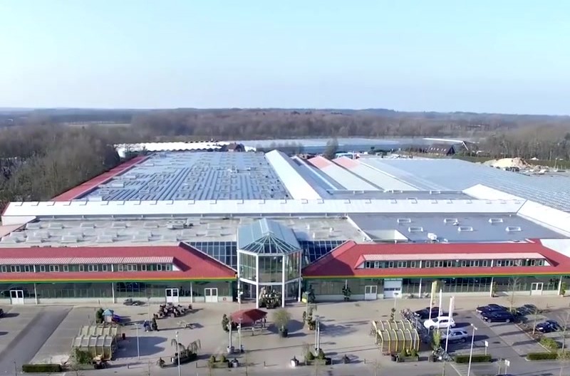 Holland Blumen Oosterik - Über Blumen Holland Blumen Oosterik - Über Blumen