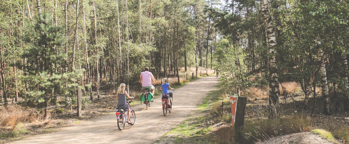 Adac Fahrrad Mieten Adac Fahrrad Mieten