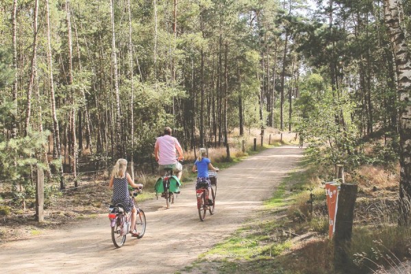 Adac Fahrrad Mieten